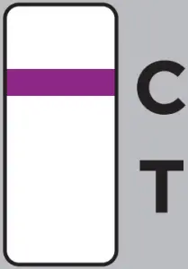 Results Interpretation