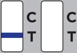 Results Interpretation