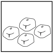 shop vac SL14 Series 12 Gallon 6.0 Peak HP Stainless Steel Wet Dry Vac - FIGURE 1