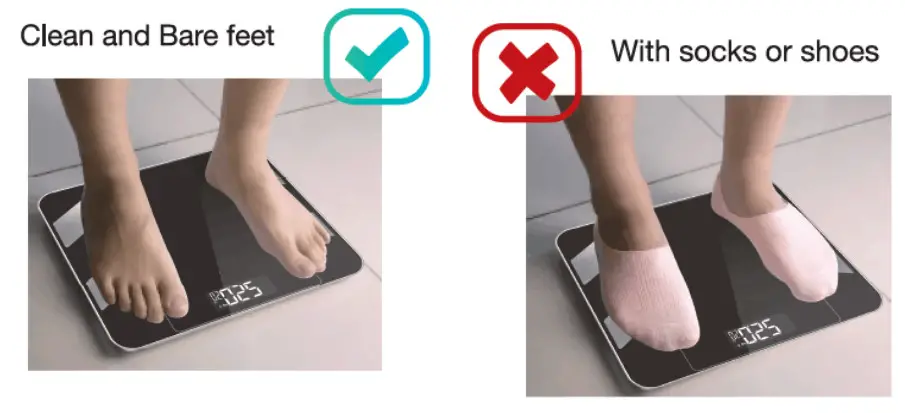 Welland FG1919B Smart Body Fat Scale-fig3