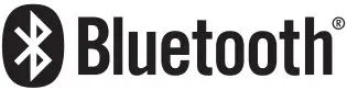 Bluetooth Logo