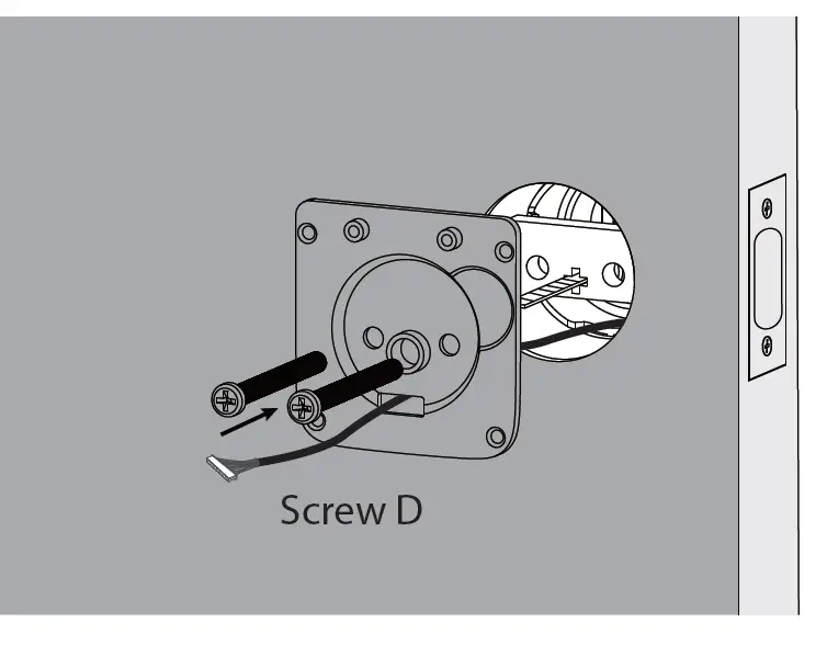 Assembly Mounting Plate