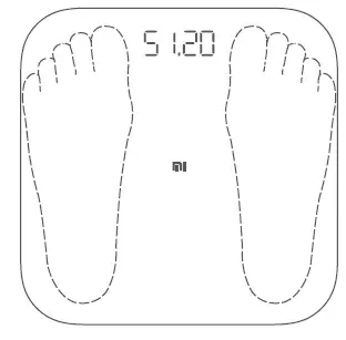 PANMI XMTZC04HM Mi Smart Scale-fig3