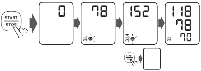Taking a Measurement