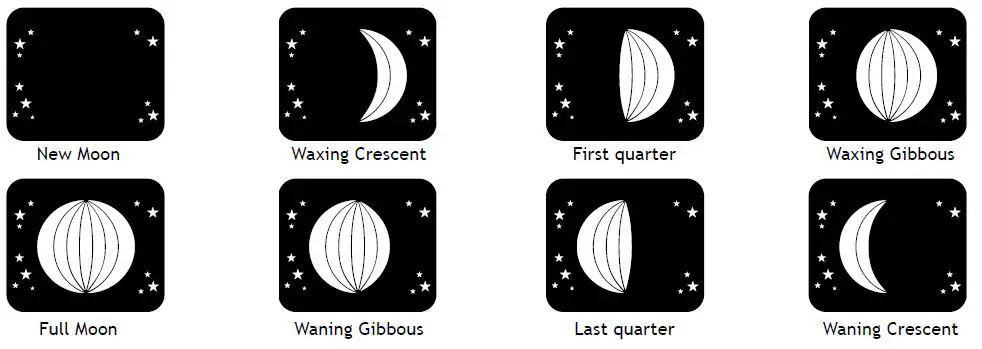 levenhuk-WA10-Discovery-Report-Weather-Station-FIG-6