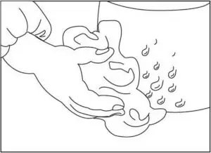 Cooking Instructions