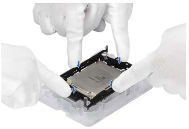 aVIGILON NVR5 STD 2NDCPU Standard 2nd CPU Kit - latched to the processor