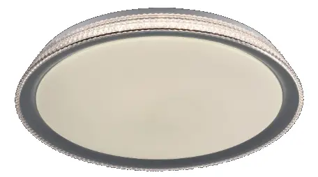 Paul Neuhaus 14280 Ceiling Light