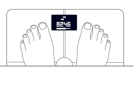 Withings Body+ WiFi Body Scale fig (7)