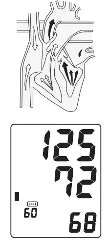 zewa-UAM-830-Automatic-Blood-Pressure-Monitor-fig-1