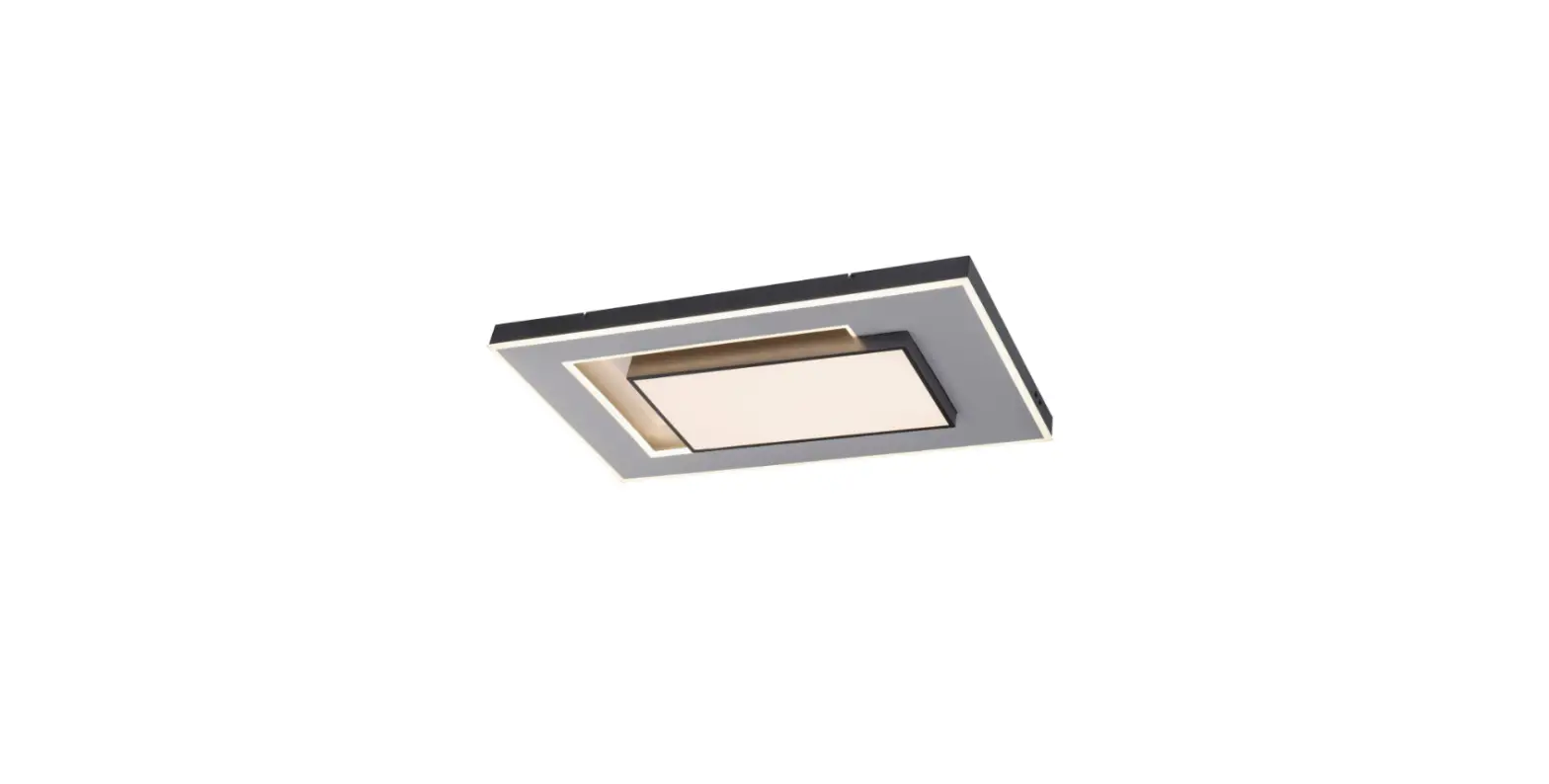 Paul Neuhaus 14671 Ceiling Light Instruction Manual