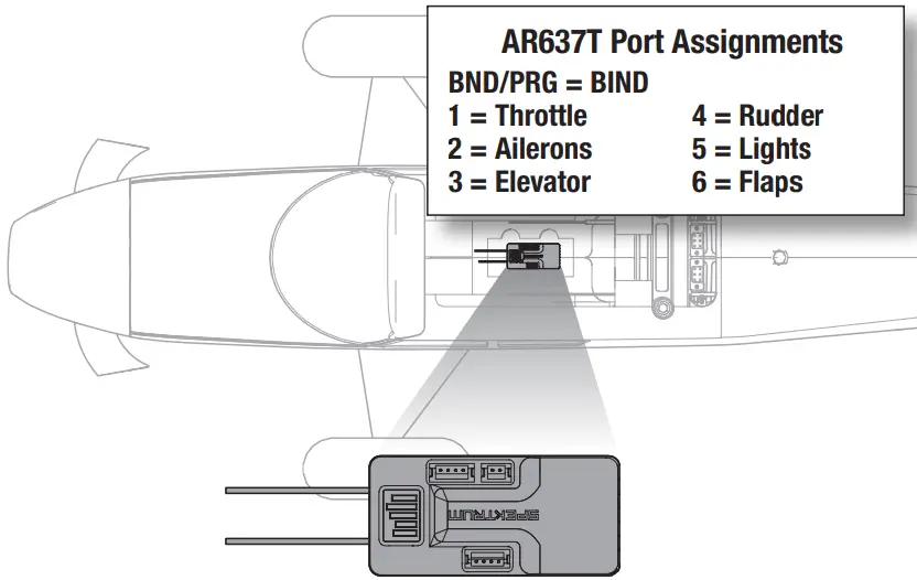 HORIZON Turbo Timber Evolution 1.5m-BIND
