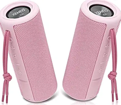 XENEO X21-MB45 Outdoor Bluetooth Speaker