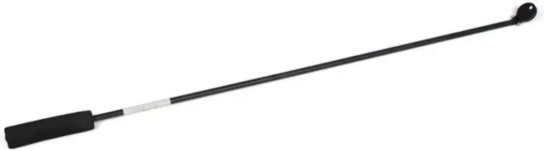 Apogee 5 AM-310 Extendable Sensor C