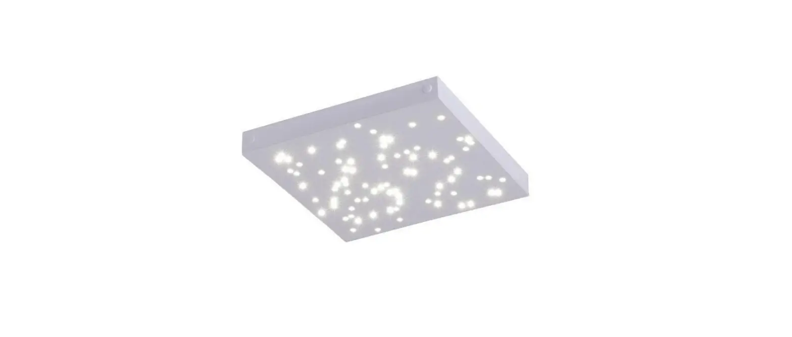 Paul Neuhaus 14672 Modular Master Ceiling Light Instruction Manual