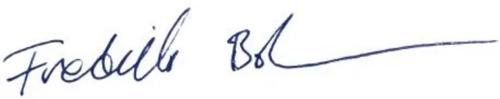 MEEC TOOLS 014168 230 V-800 W Spray Gun - seknasar