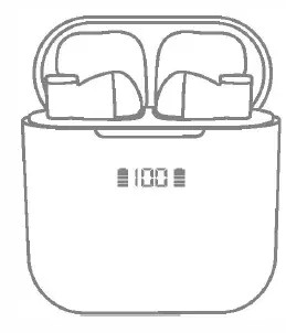 D17-True-Wireless-Earbuds-fig-3