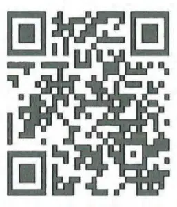 BLAUPUNKT Car Multimedia Barcelona 240 - QR