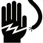 Electric Shock Icon