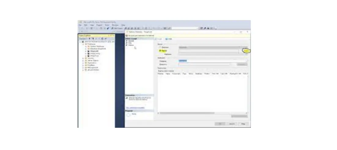 Sql Server For Wasp On-prem User Guide