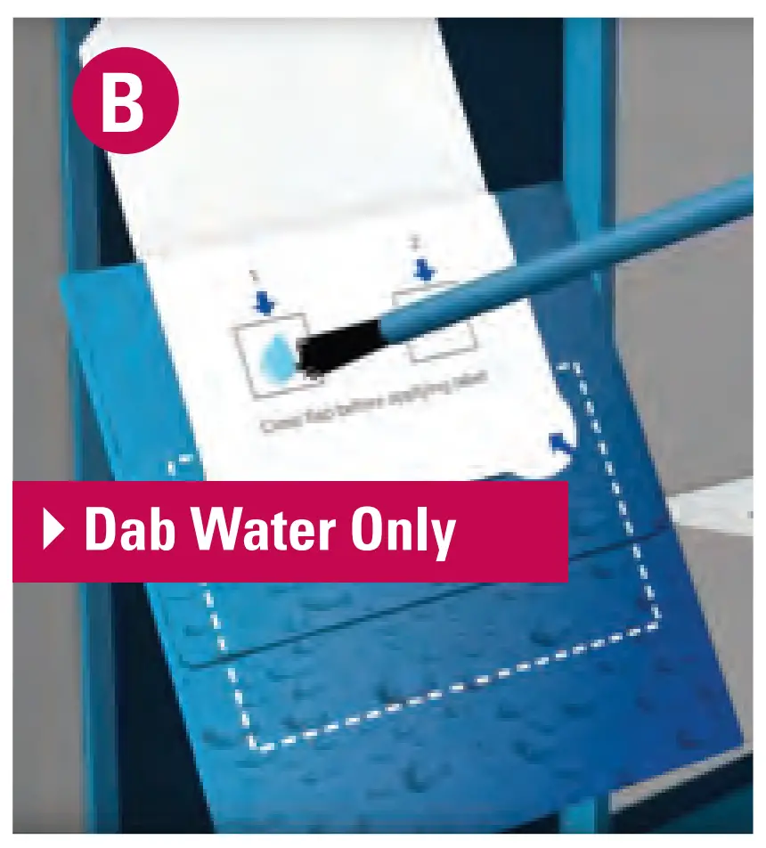 Collect Water Sample