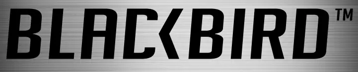 BLACKBIRD logo
