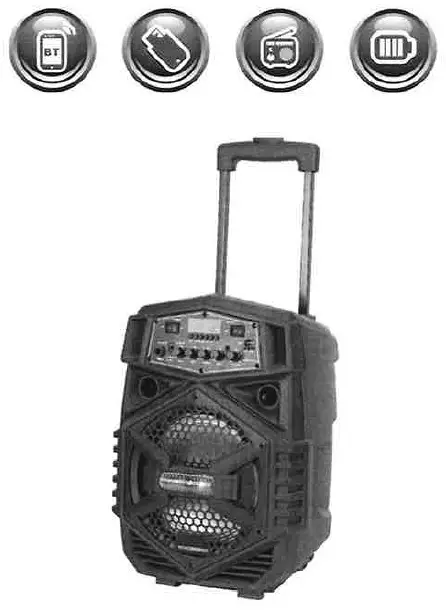 DENVER TSP-110 Portable BT Speaker System - Cover