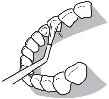 Panasonic EW-DJ40 Rechargeable Oral Irrigator - lower teeth