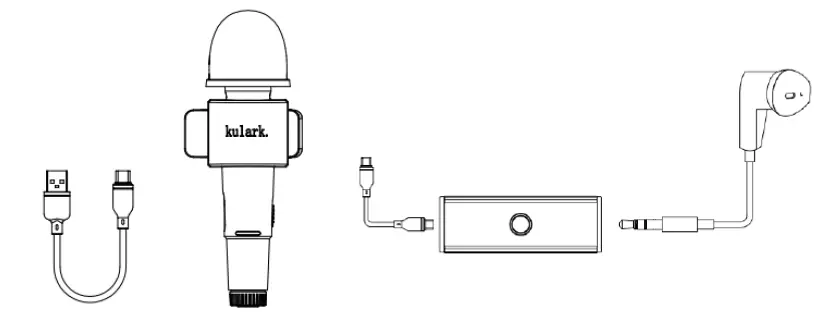 BL-MIC1 Wireless Live Microphone FIG 1