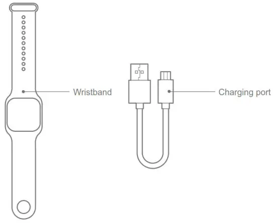 OVICX T1 Heart Rate Bracelet - pictures