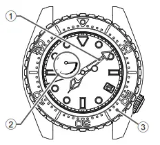 Grand Seiko Watch Spring Drive Before diving