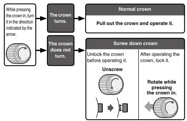 Grand Seiko Watch Spring Drive Crown 1
