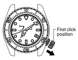 Grand Seiko Watch Spring Drivemonth month