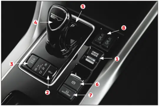 Around the Selector Lever