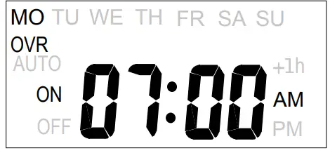 INTERMATIC FM1D14 Series 24 Hour-7-Day Time Switch - Timer Display 3