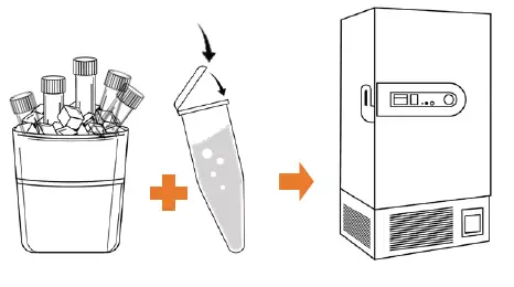 Co-Dx-NAMe-R-001-Vector-Smart-North-American-Mosquito-East-RUO-Product-FIG-15
