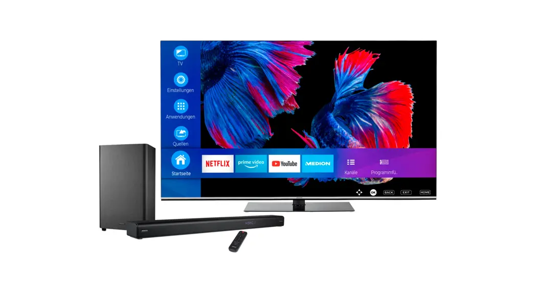 Medion 30034043 Compatible Replacement Remote Control User Manual