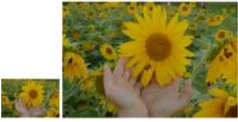 CorelDRAW-Graphics-Suite-2020-Mac-fig-82