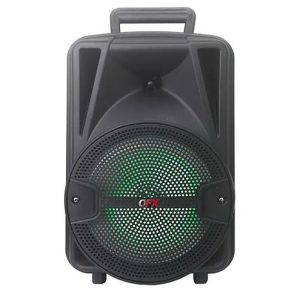 QFX BT-87 Portable Speaker
