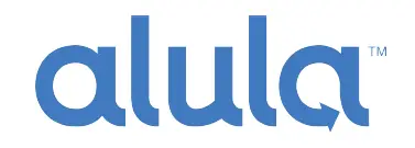 alula UD18951N Outdoor Bullet Camera User Guide-logo