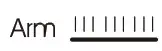 Arms