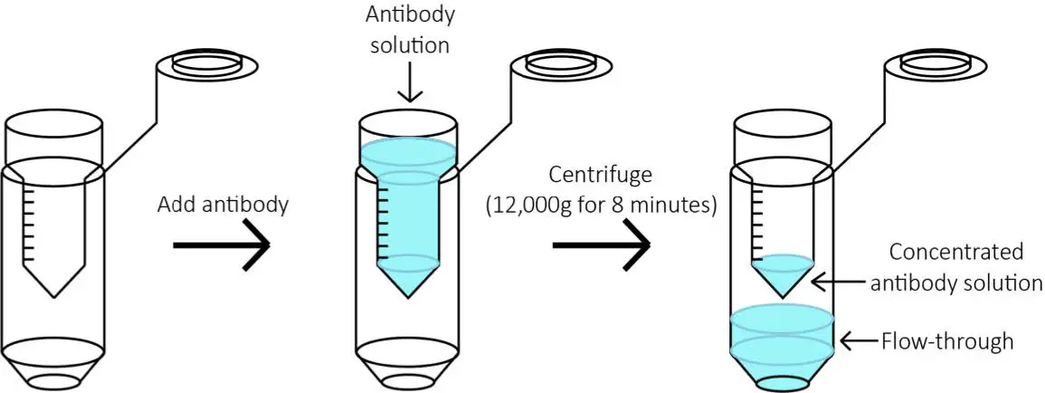 AKOKA Codex High-Parameter Tissue Analysis Fig1