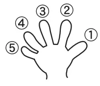 YAMAHA YOB 241 Series Student Oboe - Left hand