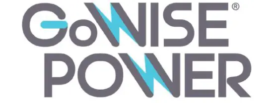 GoWISE POWER logo