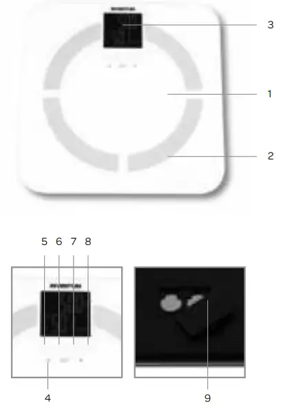 INVENTUM PW720BG Personal Scale-fig4