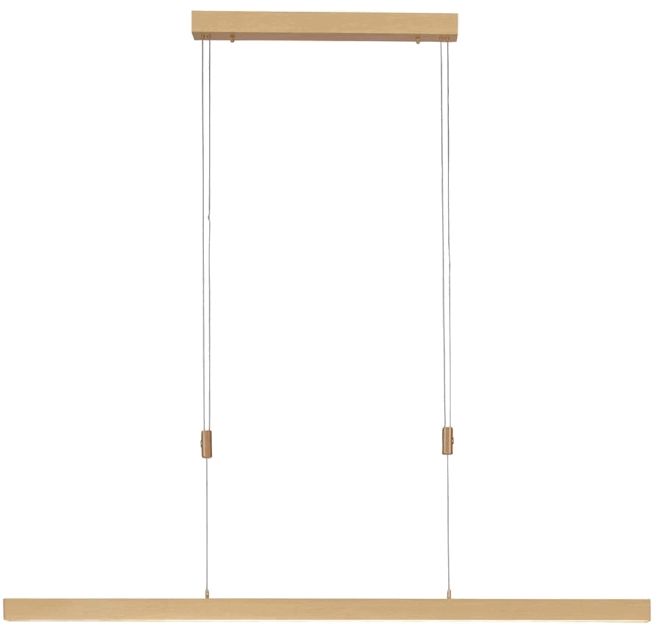 Paul Neuhaus 2568-95 Adriana LED Pendant Light -