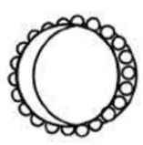 FORTIS 3 FS700CALRRA 700C Urban Master Road Bike Bearings