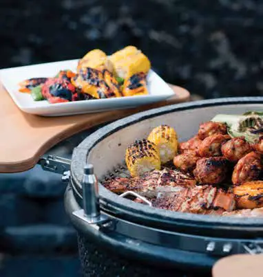 VISION GRILLS RL K17F1M4 1 Series Classic Kamado Grill - fig 3