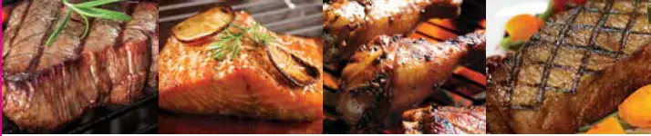 VISION GRILLS RL K17F1M4 1 Series Classic Kamado Grill - fig