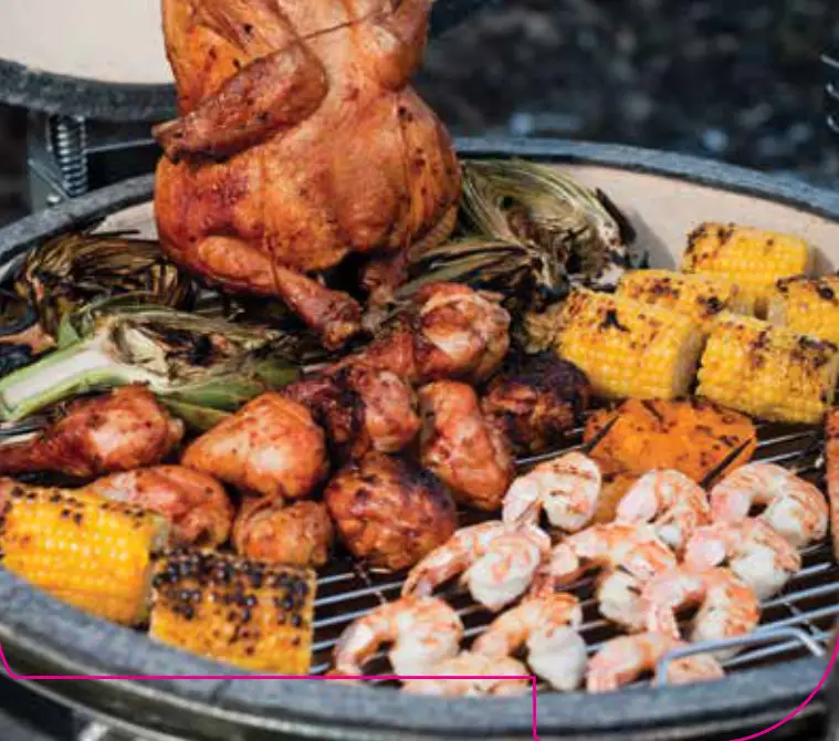 VISION GRILLS RL K17F1M4 1 Series Classic Kamado Grill - fig11